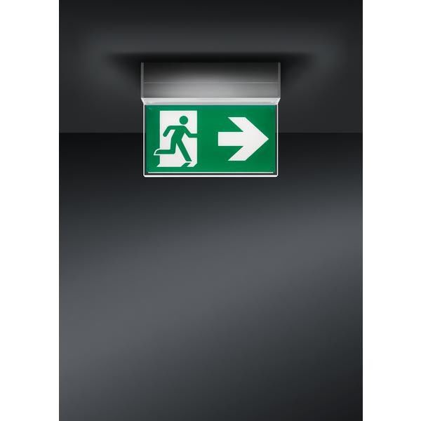 LED-Rettungszeichenleuchte 79230264