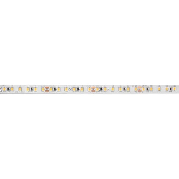 LED-Stripe IP60 5 m 38223003