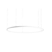 LED-Pendel-Ringleuchte 84034173