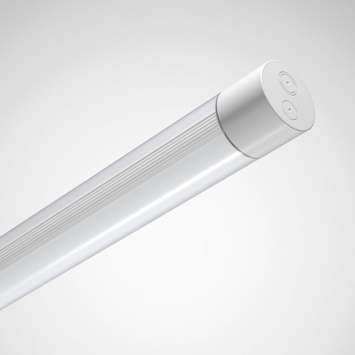 LED-Rohrleuchte TugraHE 12 #8464851