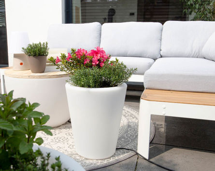 Shining Pots