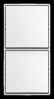 Kombi Schalter/Schalter AP 2601/6/2601/6 APJ524