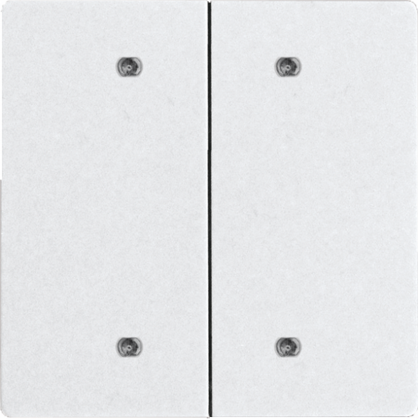 Doppelwippe für Bustaster DW-B4T55E-am