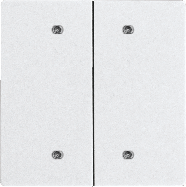 Doppelwippe für Bustaster DW-B4T55E-am