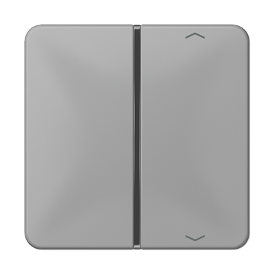Taste 1-fach CD 401 TSAP GR grau