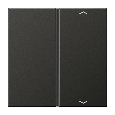 Taste 1-fach AL 2401 TSAP AN anthrazit