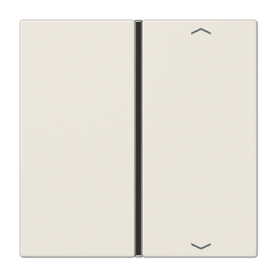 Taste 1-fach LS 401 TSAP weiß