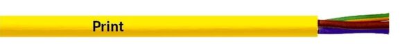 ÖLFLEX 540 P 0012461/R50