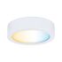 LED-Spot 999.52