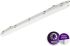 LED-Feuchtraumleuchte 840 L1200mm WT065C LED #50021199