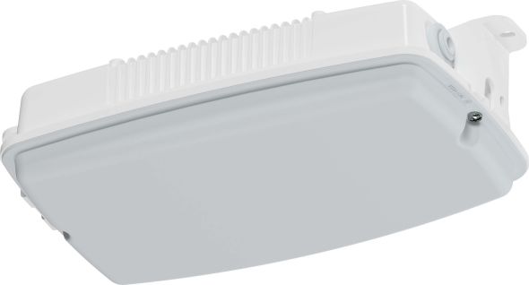 LED-Notleuchte 3611 L02/1 W MA