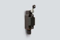 Positionsschalter 8070/2-4-D-U60