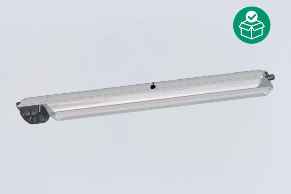 LED Sicherheitsleuchte 278304