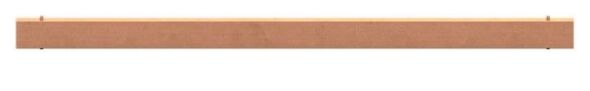 Sammelschiene ZCS1