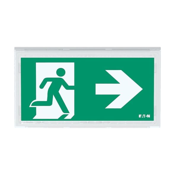 LED-Rettungszeichenleuchte FT2EW4ICGL18