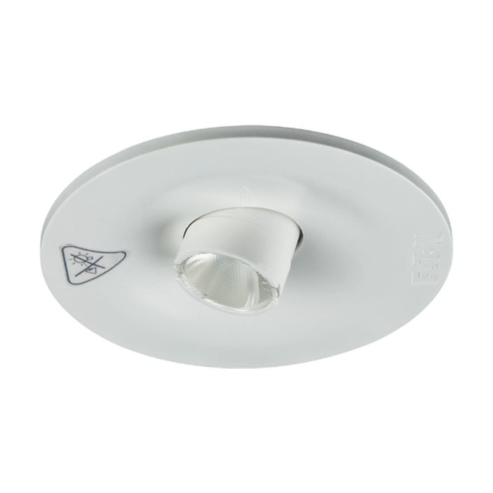 LED-Sicherheitsleuchte GuideLedSL13051.2CGS