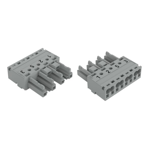 Buchse 4-polig 770-244/081-000