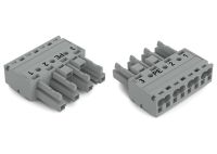 Buchse 4-polig 770-244/062-000