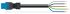 konfekt. Anschlussleitung 891-8385/166-501