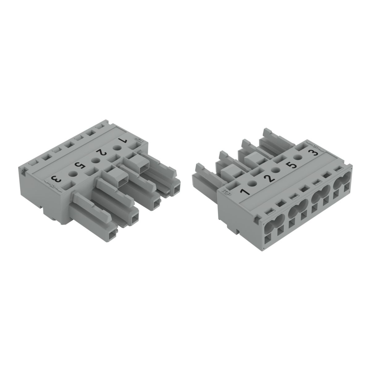 Buchse 4-polig 770-244/081-000