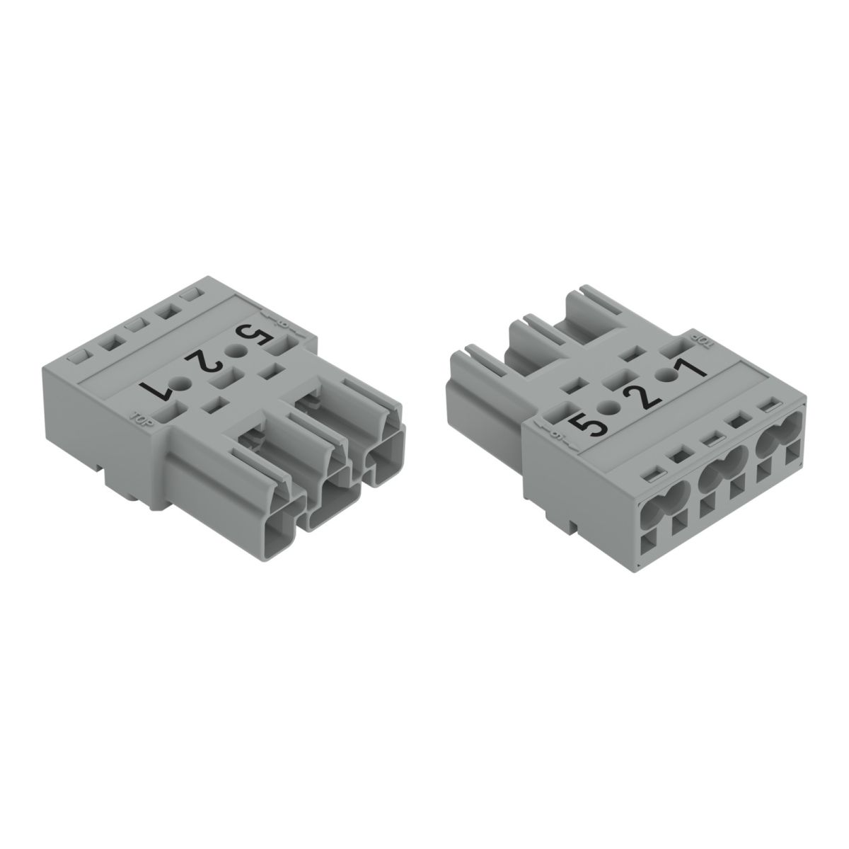 Stecker 3-polig 770-253/081-000