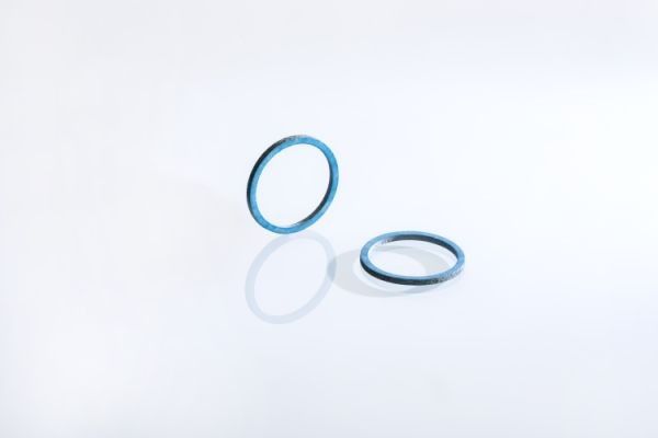 Dichtring DRC225