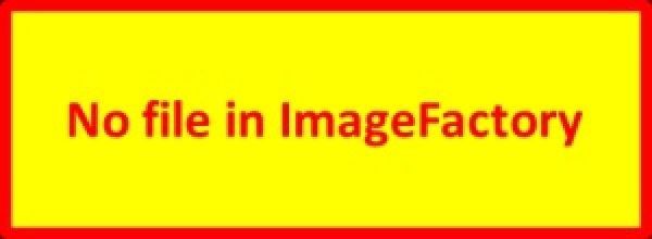 Schraubensatz GKX SS 40+ 40 S