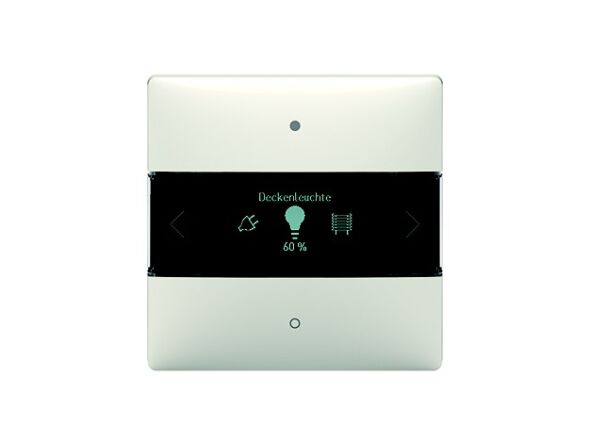 Systemzentrale Funk LUXORliving IP-RF