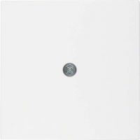 Zentralstück 10191909 polarweiß matt