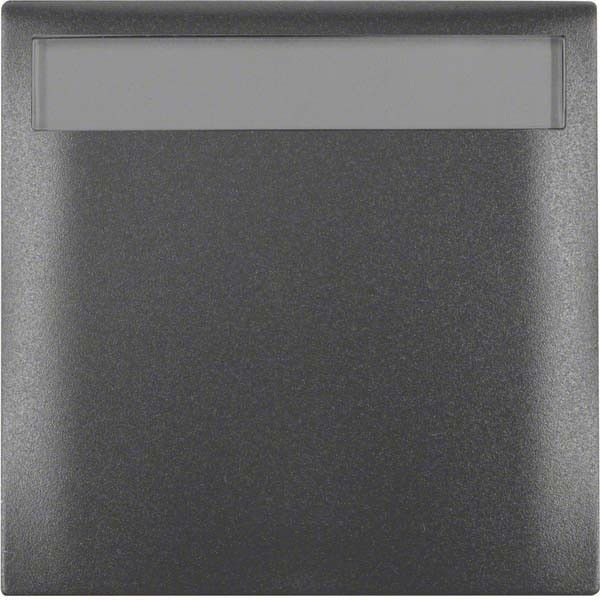 Rahmen 1-fach 919882505 anthrazit matt