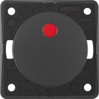 Kontrolltaster 937722505 anthrazit matt