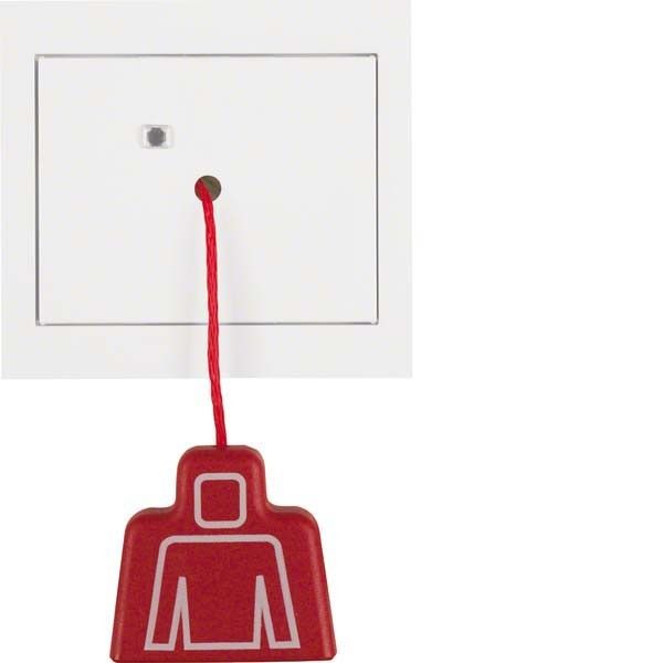 Zugtaster 52027009 polarweiß glänzend