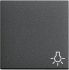 Wippe Licht anth 028528