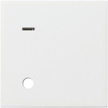 Abdeckung f. Zugtaster 023327