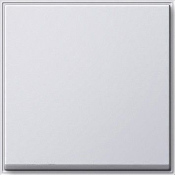 Wippe Wechselschalter 029666 reinweiß - alte Generation