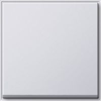 Wippe Wechselschalter 029666 reinweiß - alte Generation