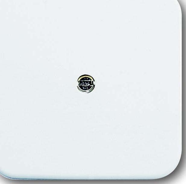 Zentralscheibe aws VDo 2536-214