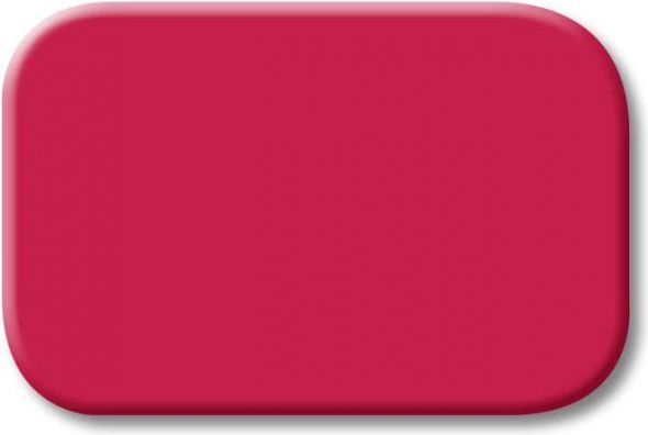 Tastersymbol 2525-12