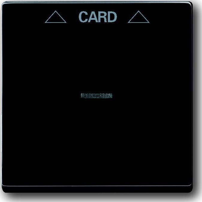 Zentralscheibe anth 1792-81