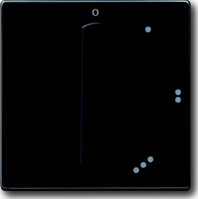 Zentralscheibe anth 2542 DR/01-81