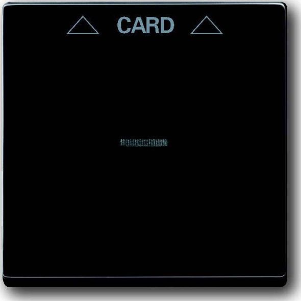 Zentralscheibe anth 1792-81