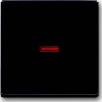 Kontroll-Wippe anth 1789-81