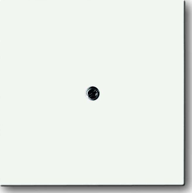 Zentralscheibe stws mt 1745-884