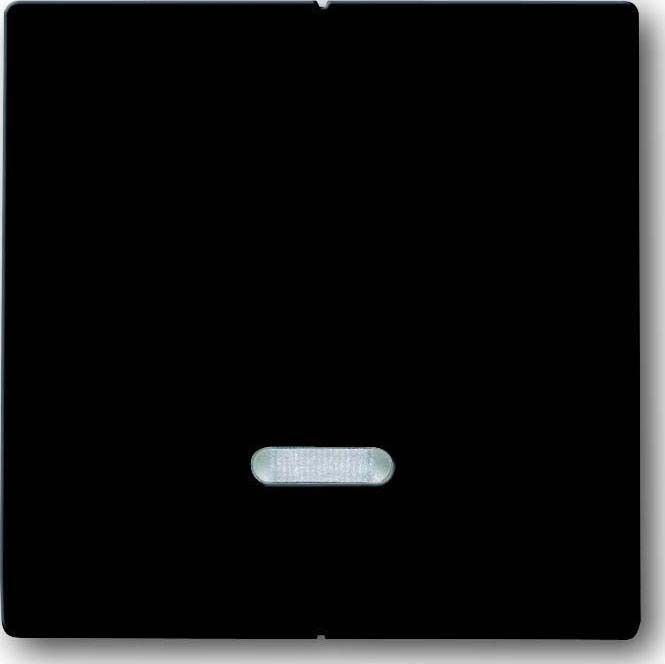 Bedienelement 6545-81