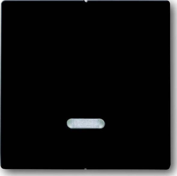 Bedienelement 6545-81