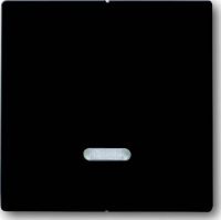 Bedienelement 6545-81