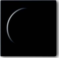 Zentralscheibe anth 6540-81-102