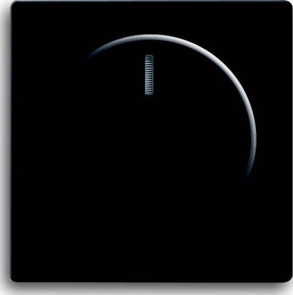 Zentralscheibe sw mt 6540-885-102