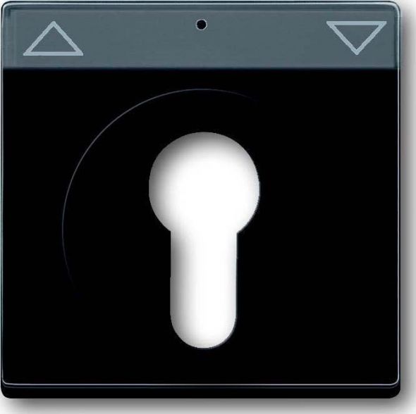 Zentralscheibe anth 1755 SL/PZ-81-101