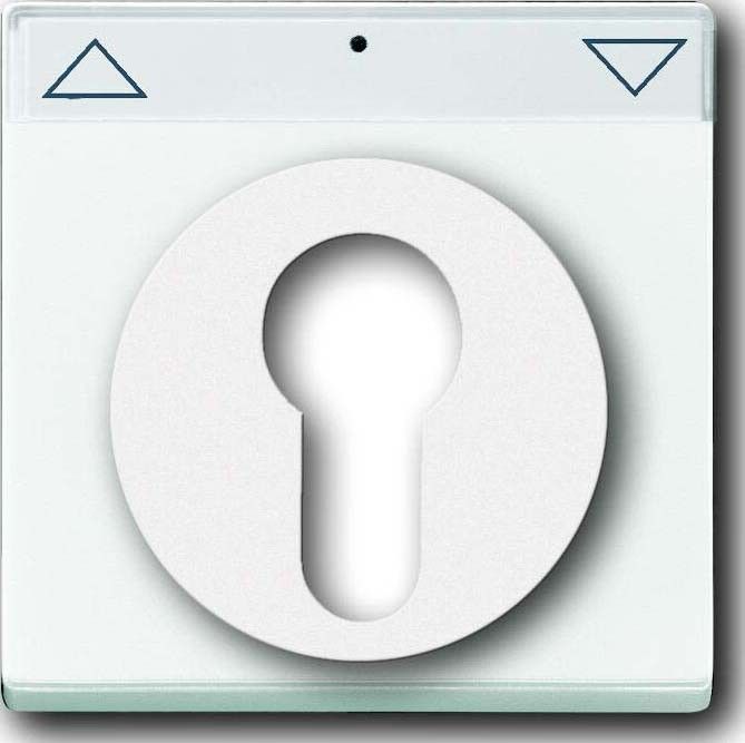 Zentralscheibe dav/sws 1755 SL/PZ-84-101